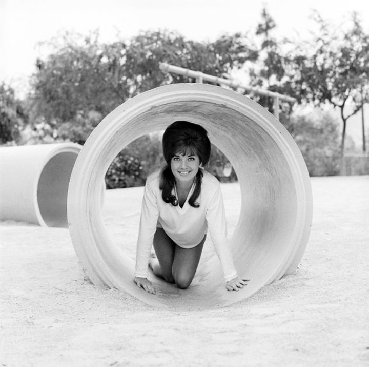 Playboy Playmate Lynn Winchell