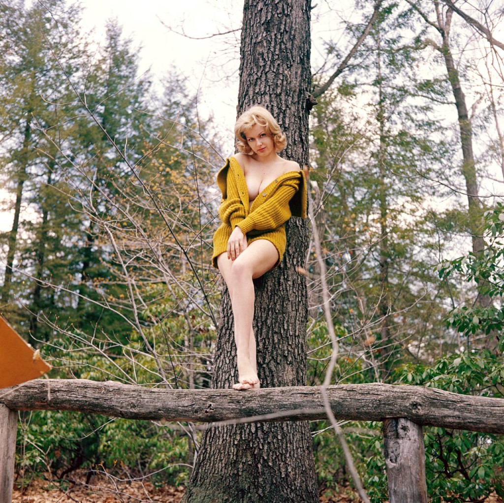 Playboy Playmate Lynn Karrol